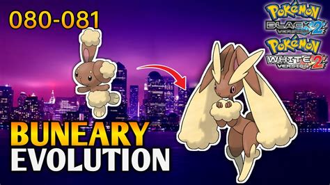 lopunny weakness|buneary evolution.